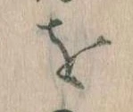 Đã định vị を