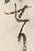 文字 せ
