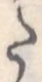 Đã định vị 𛁠