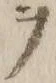文字ヲ