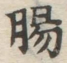 文字腸