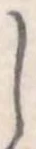 𛁅 위치 확인됨