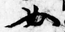 女の位置