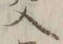글자 交