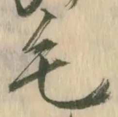 毛 위치 확인됨