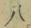 Chữ 八