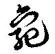 已定位龜