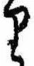 Đã định vị 𛃶