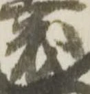 已定位茂