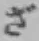 글자 ざ
