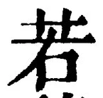 “若”字