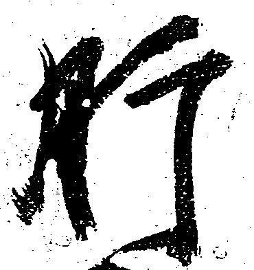 肝の位置