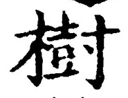 글자 樹