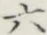 Character 六