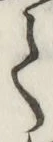文字て