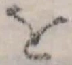 位置定マレル𛄜