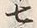 文字七