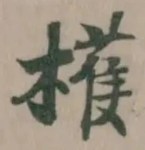 檴の位置