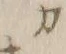 “カ”字