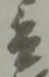 兵 위치 확인됨