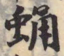蛹 위치 확인됨