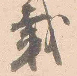載 위치 확인됨