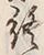 文字終