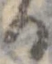位置定マレル𛃻