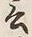 Chữ 言