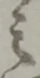位置 確認된 之