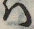 Đã định vị 𛂞