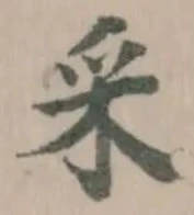 采の位置