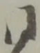 同 위치 확인됨