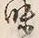 文字味