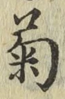글자 菊