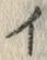 「イ」字