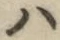 글자 ハ