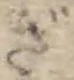 ぎ 위치 확인됨