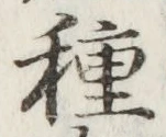 글자 種