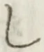 글자 し