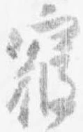 位置定マレル寝