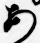 位置定マレル未定
