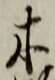 𡨸木