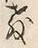 文字教