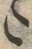 𛁠 위치 확인됨