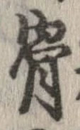 骨 위치 확인됨