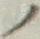 “ノ”字