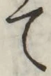 字て