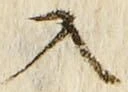「入」字