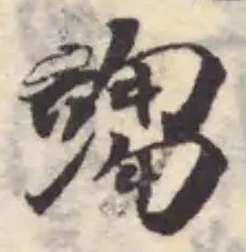 𥪥 위치 확인됨